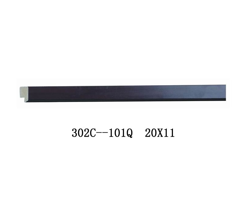302C-101Q