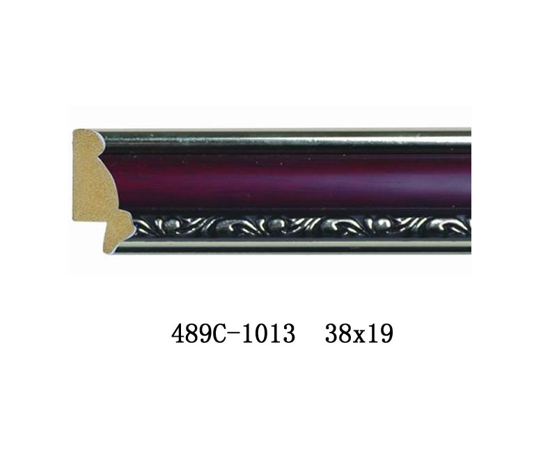 489C-1013 489C-1013