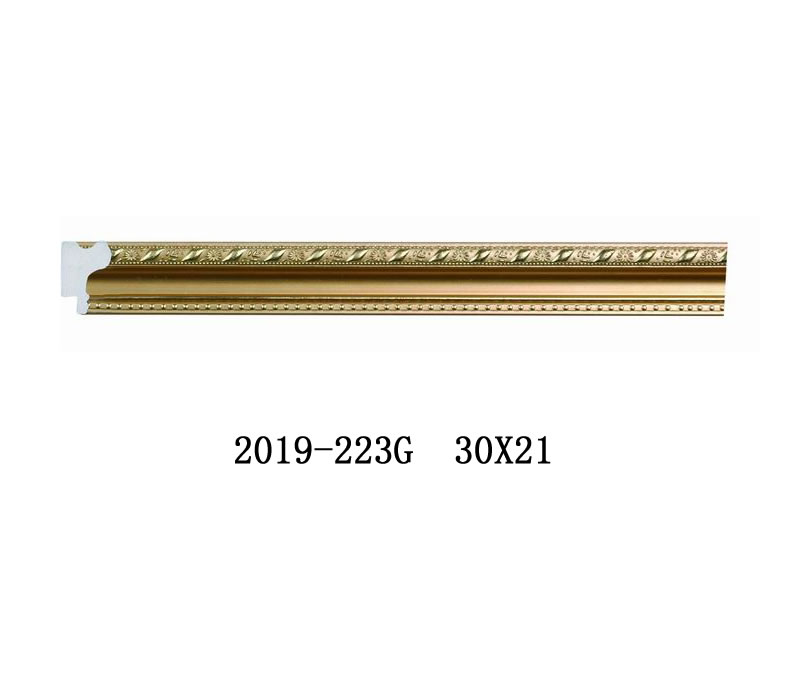 2019-223G