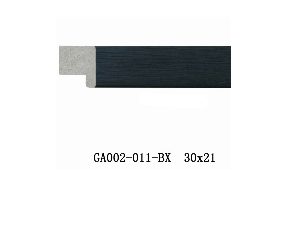 GA002-011-BX