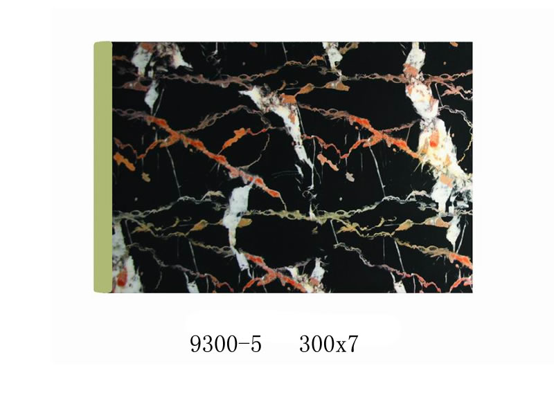 9300-5